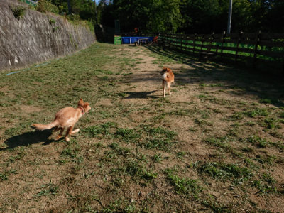 f:id:roukenhome-ann:20190817083956j:plain