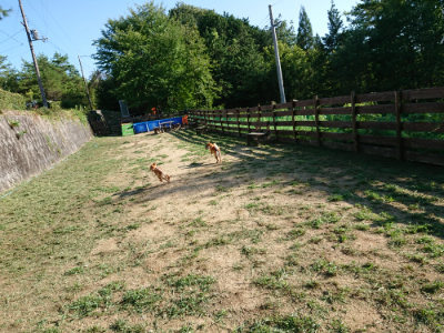 f:id:roukenhome-ann:20190817084006j:plain