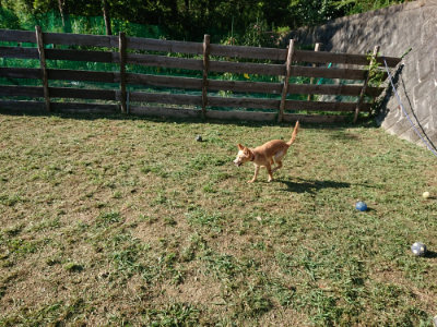 f:id:roukenhome-ann:20190817084454j:plain