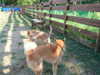 f:id:roukenhome-ann:20190817084545j:plain
