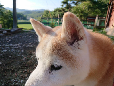 f:id:roukenhome-ann:20190817084817j:plain f:id:roukenhome-ann:20190817084817j:plain