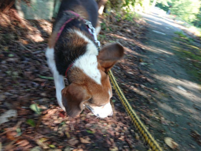 f:id:roukenhome-ann:20190817084834j:plain f:id:roukenhome-ann:20190817084834j:plain