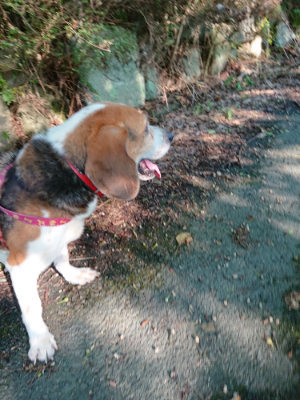 f:id:roukenhome-ann:20190817084843j:plain f:id:roukenhome-ann:20190817084843j:plain
