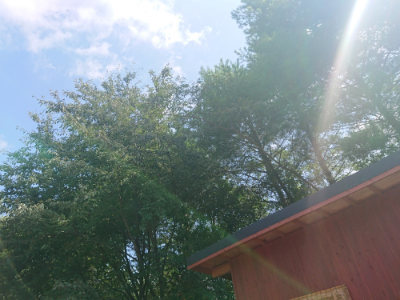 f:id:roukenhome-ann:20190817184229j:plain f:id:roukenhome-ann:20190817184229j:plain