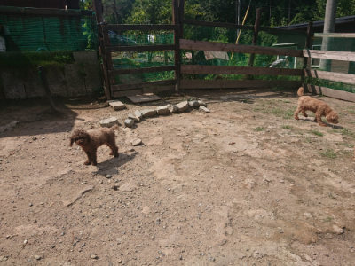 f:id:roukenhome-ann:20190817184236j:plain f:id:roukenhome-ann:20190817184236j:plain