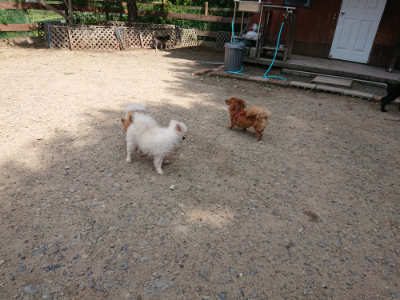 f:id:roukenhome-ann:20190817184320j:plain f:id:roukenhome-ann:20190817184320j:plain