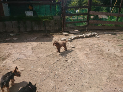 f:id:roukenhome-ann:20190817184345j:plain f:id:roukenhome-ann:20190817184345j:plain