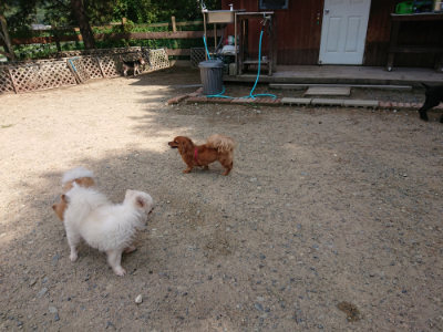 f:id:roukenhome-ann:20190817184356j:plain f:id:roukenhome-ann:20190817184356j:plain