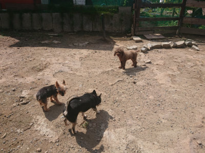 f:id:roukenhome-ann:20190817184418j:plain f:id:roukenhome-ann:20190817184418j:plain