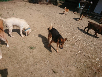 f:id:roukenhome-ann:20190817184442j:plain f:id:roukenhome-ann:20190817184442j:plain
