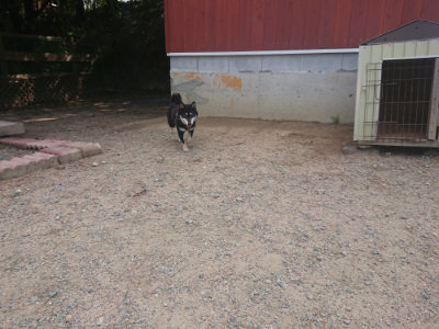 f:id:roukenhome-ann:20190817184502j:plain f:id:roukenhome-ann:20190817184502j:plain