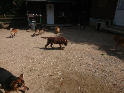 f:id:roukenhome-ann:20190817184507j:plain f:id:roukenhome-ann:20190817184507j:plain