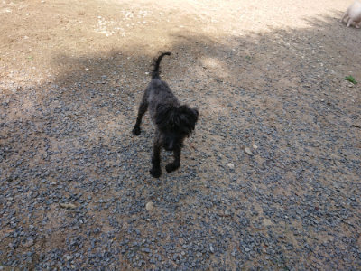 f:id:roukenhome-ann:20190817184538j:plain f:id:roukenhome-ann:20190817184538j:plain