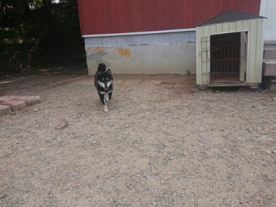 f:id:roukenhome-ann:20190817184548j:plain f:id:roukenhome-ann:20190817184548j:plain