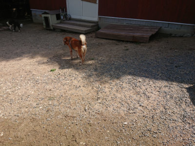 f:id:roukenhome-ann:20190817184601j:plain f:id:roukenhome-ann:20190817184601j:plain