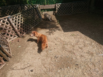 f:id:roukenhome-ann:20190817184814j:plain f:id:roukenhome-ann:20190817184814j:plain