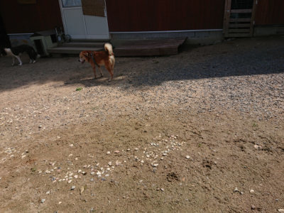 f:id:roukenhome-ann:20190817184830j:plain f:id:roukenhome-ann:20190817184830j:plain