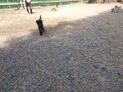 f:id:roukenhome-ann:20190817184853j:plain f:id:roukenhome-ann:20190817184853j:plain