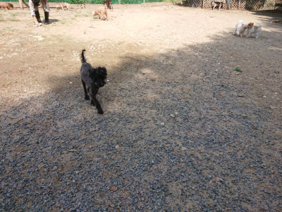 f:id:roukenhome-ann:20190817184919j:plain f:id:roukenhome-ann:20190817184919j:plain