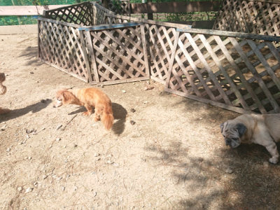 f:id:roukenhome-ann:20190817184932j:plain f:id:roukenhome-ann:20190817184932j:plain