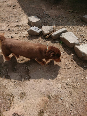 f:id:roukenhome-ann:20190817184939j:plain f:id:roukenhome-ann:20190817184939j:plain