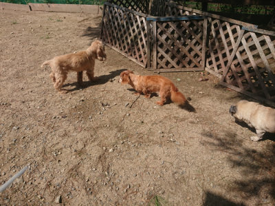 f:id:roukenhome-ann:20190817185012j:plain f:id:roukenhome-ann:20190817185012j:plain