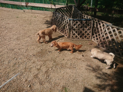f:id:roukenhome-ann:20190817185055j:plain f:id:roukenhome-ann:20190817185055j:plain