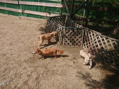 f:id:roukenhome-ann:20190817185133j:plain f:id:roukenhome-ann:20190817185133j:plain