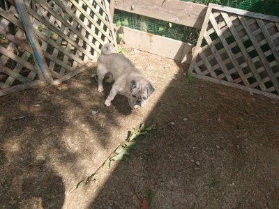 f:id:roukenhome-ann:20190817185201j:plain f:id:roukenhome-ann:20190817185201j:plain