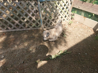 f:id:roukenhome-ann:20190817185208j:plain f:id:roukenhome-ann:20190817185208j:plain