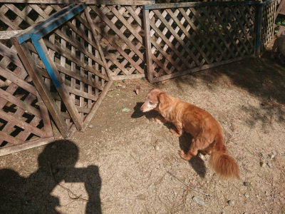 f:id:roukenhome-ann:20190817201744j:plain f:id:roukenhome-ann:20190817201744j:plain