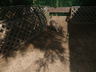 f:id:roukenhome-ann:20190817201816j:plain f:id:roukenhome-ann:20190817201816j:plain