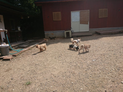 f:id:roukenhome-ann:20190817201846j:plain f:id:roukenhome-ann:20190817201846j:plain