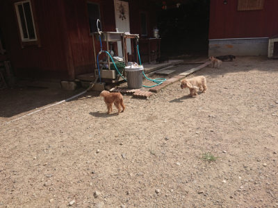 f:id:roukenhome-ann:20190817201853j:plain f:id:roukenhome-ann:20190817201853j:plain