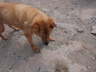 f:id:roukenhome-ann:20190817201909j:plain f:id:roukenhome-ann:20190817201909j:plain