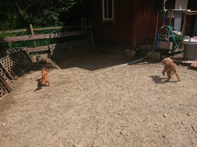 f:id:roukenhome-ann:20190817201916j:plain f:id:roukenhome-ann:20190817201916j:plain