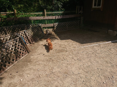 f:id:roukenhome-ann:20190817201924j:plain f:id:roukenhome-ann:20190817201924j:plain