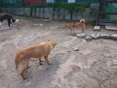 f:id:roukenhome-ann:20190817201933j:plain f:id:roukenhome-ann:20190817201933j:plain