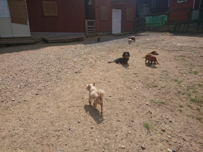 f:id:roukenhome-ann:20190817201939j:plain f:id:roukenhome-ann:20190817201939j:plain