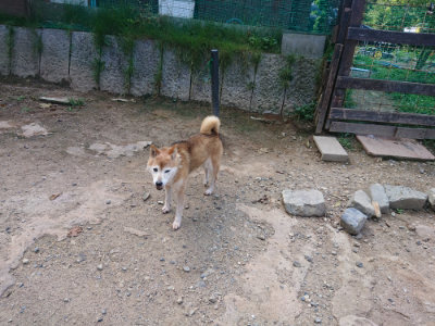 f:id:roukenhome-ann:20190817202003j:plain f:id:roukenhome-ann:20190817202003j:plain