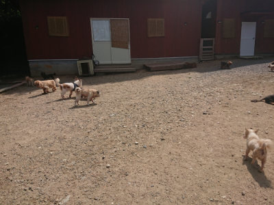 f:id:roukenhome-ann:20190817202010j:plain f:id:roukenhome-ann:20190817202010j:plain