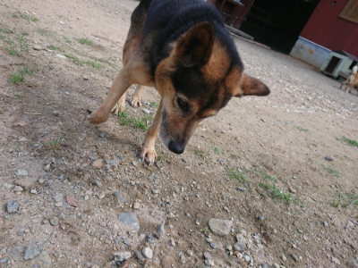 f:id:roukenhome-ann:20190817202016j:plain f:id:roukenhome-ann:20190817202016j:plain