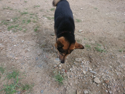 f:id:roukenhome-ann:20190817202040j:plain f:id:roukenhome-ann:20190817202040j:plain