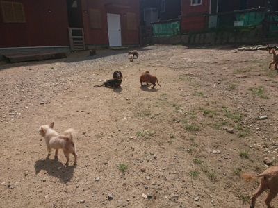 f:id:roukenhome-ann:20190817202110j:plain f:id:roukenhome-ann:20190817202110j:plain