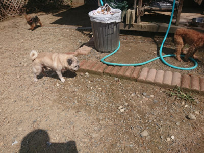 f:id:roukenhome-ann:20190817202141j:plain f:id:roukenhome-ann:20190817202141j:plain