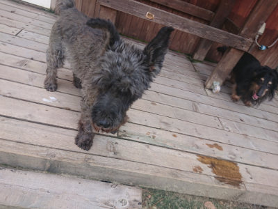f:id:roukenhome-ann:20190817202148j:plain f:id:roukenhome-ann:20190817202148j:plain
