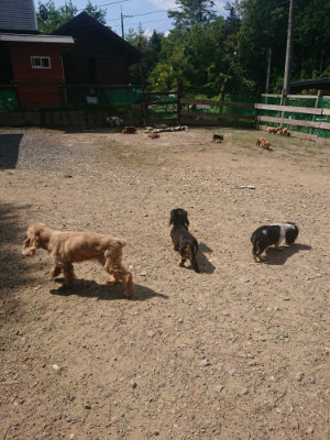 f:id:roukenhome-ann:20190817202931j:plain