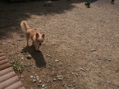f:id:roukenhome-ann:20190817202943j:plain