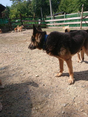 f:id:roukenhome-ann:20190817202958j:plain