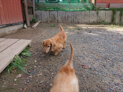 f:id:roukenhome-ann:20190817203018j:plain